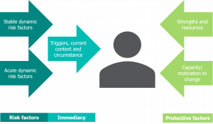 Image displays arrows pointing towards a person. The arrows represent risk factors, immediacy (e.g. triggers, current context and circumstance) and protective factors (e.g. strengths and resources and capacity to change).