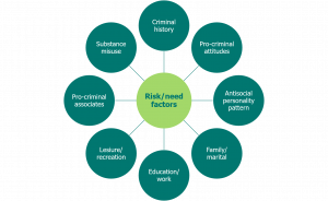 Circular diagram displays risk/need factors: criminal history, pro-criminal attitudes, pro-criminal associates, antisocial personality pattern, family/marital, school/work, substance abuse, and leisure/recreation.